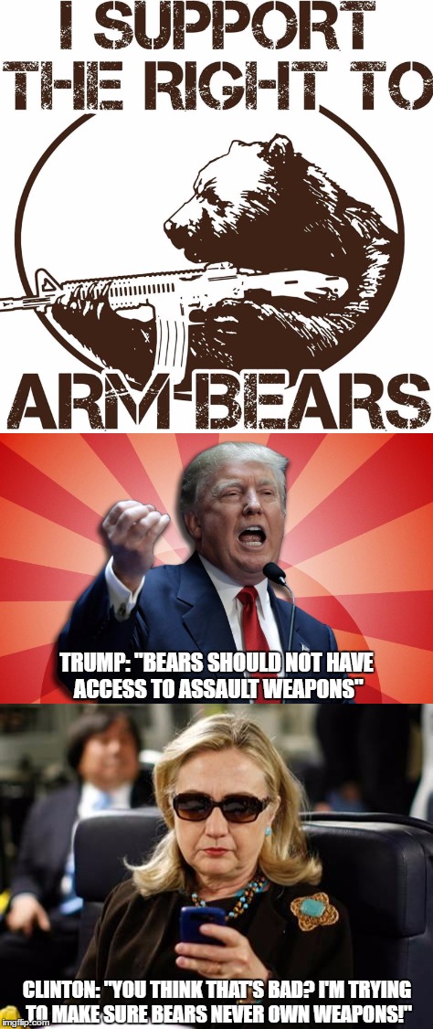 Arming Bears: Trump vs. Clinton | TRUMP: "BEARS SHOULD NOT HAVE ACCESS TO ASSAULT WEAPONS"; CLINTON: "YOU THINK THAT'S BAD? I'M TRYING TO MAKE SURE BEARS NEVER OWN WEAPONS!" | image tagged in arm bears,donald trump,hillary clinton,gun debate | made w/ Imgflip meme maker