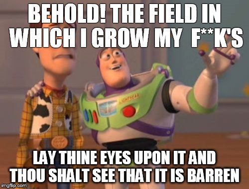 X, X Everywhere Meme | BEHOLD! THE FIELD IN WHICH I GROW MY  F**K'S; LAY THINE EYES UPON IT AND THOU SHALT SEE THAT IT IS BARREN | image tagged in memes,x x everywhere | made w/ Imgflip meme maker