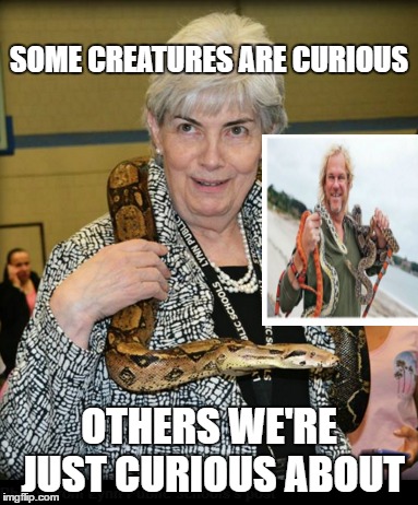 WEIRD SCIENCE | SOME CREATURES ARE CURIOUS OTHERS WE'RE JUST CURIOUS ABOUT | image tagged in science,school | made w/ Imgflip meme maker