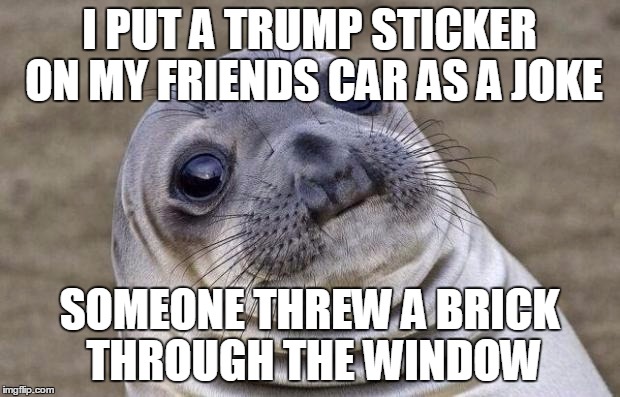 Awkward Moment Sealion | I PUT A TRUMP STICKER ON MY FRIENDS CAR AS A JOKE; SOMEONE THREW A BRICK THROUGH THE WINDOW | image tagged in memes,awkward moment sealion,AdviceAnimals | made w/ Imgflip meme maker