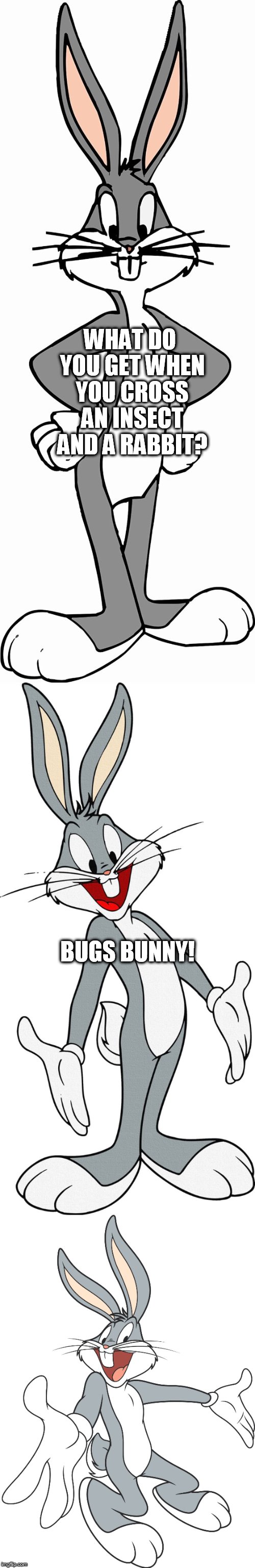 If you cant beat them join them pun! | WHAT DO YOU GET WHEN YOU CROSS AN INSECT AND A RABBIT? BUGS BUNNY! | image tagged in puns,bugs bunny,funny,joke,bug | made w/ Imgflip meme maker