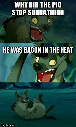 Bad Pun Hyena  | WHY DID THE PIG STOP SUNBATHING; HE WAS BACON IN THE HEAT | image tagged in memes | made w/ Imgflip meme maker