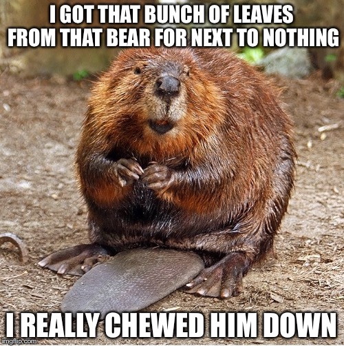 I GOT THAT BUNCH OF LEAVES FROM THAT BEAR FOR NEXT TO NOTHING; I REALLY CHEWED HIM DOWN | image tagged in leave it to beaver | made w/ Imgflip meme maker