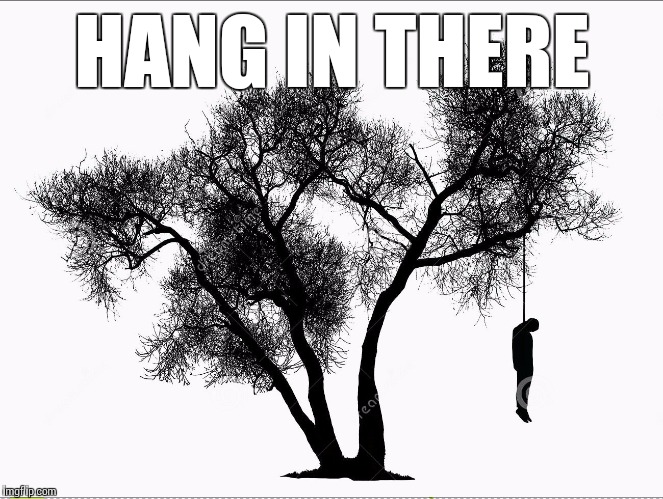 Positive life choices | HANG IN THERE | image tagged in hang in there | made w/ Imgflip meme maker