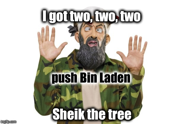 America's main man! |  I got two, two, two; push Bin Laden; Sheik the tree | image tagged in general | made w/ Imgflip meme maker