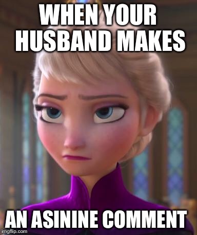 Seriously face  | WHEN YOUR HUSBAND MAKES; AN ASININE COMMENT | image tagged in seriously face | made w/ Imgflip meme maker