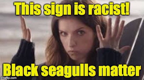 WTF Anna | This sign is racist! Black seagulls matter | image tagged in wtf anna | made w/ Imgflip meme maker