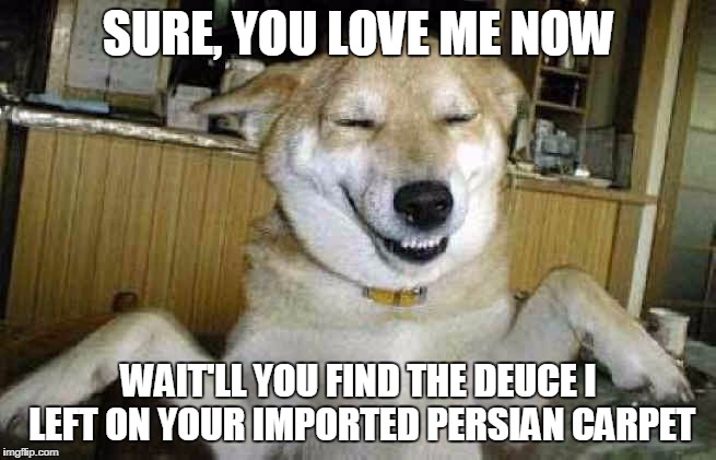 SURE, YOU LOVE ME NOW; WAIT'LL YOU FIND THE DEUCE I LEFT ON YOUR IMPORTED PERSIAN CARPET | image tagged in deuce | made w/ Imgflip meme maker