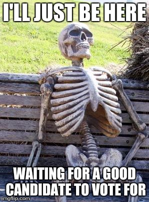 Waiting Skeleton Meme | I'LL JUST BE HERE; WAITING FOR A GOOD CANDIDATE TO VOTE FOR | image tagged in memes,waiting skeleton | made w/ Imgflip meme maker