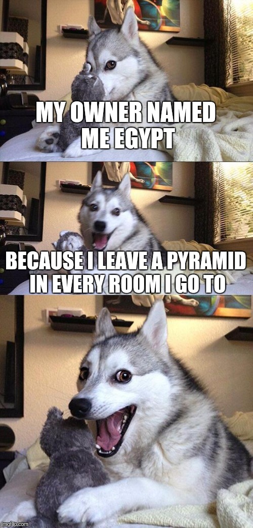 Bad Pun Dog | MY OWNER NAMED ME EGYPT; BECAUSE I LEAVE A PYRAMID IN EVERY ROOM I GO TO | image tagged in memes,bad pun dog | made w/ Imgflip meme maker