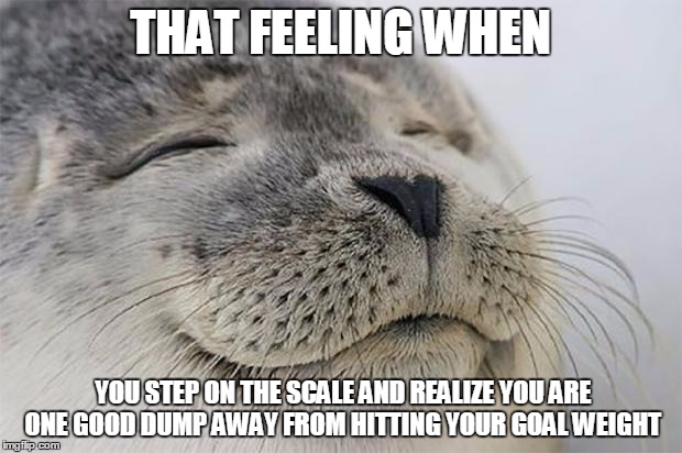Satisfied Seal Meme | THAT FEELING WHEN; YOU STEP ON THE SCALE AND REALIZE YOU ARE ONE GOOD DUMP AWAY FROM HITTING YOUR GOAL WEIGHT | image tagged in memes,satisfied seal,AdviceAnimals | made w/ Imgflip meme maker