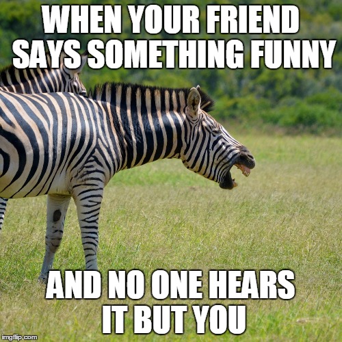 WHEN YOUR FRIEND SAYS SOMETHING FUNNY; AND NO ONE HEARS IT BUT YOU | image tagged in awkward moment,that awkward moment | made w/ Imgflip meme maker