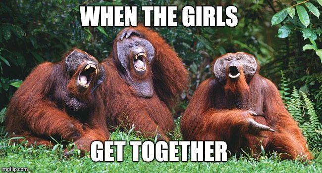 Laughing Orangutans | WHEN THE GIRLS; GET TOGETHER | image tagged in laughing orangutans | made w/ Imgflip meme maker