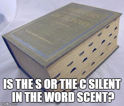 confusing words | IS THE S OR THE C SILENT IN THE WORD SCENT? | image tagged in dictionary,funny,memes | made w/ Imgflip meme maker