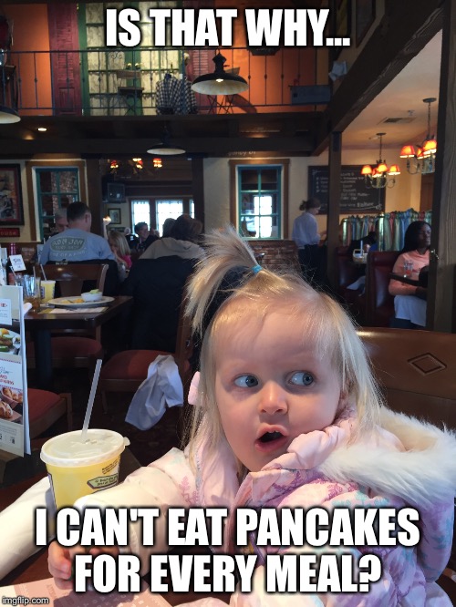 IS THAT WHY... I CAN'T EAT PANCAKES FOR EVERY MEAL? | image tagged in fat | made w/ Imgflip meme maker