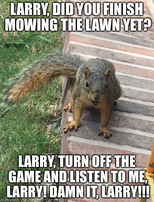 LARRY, DID YOU FINISH MOWING THE LAWN YET? LARRY, TURN OFF THE GAME AND LISTEN TO ME, LARRY! DAMN IT, LARRY!!! | image tagged in squirrel francine | made w/ Imgflip meme maker