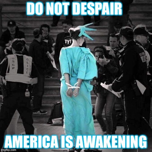 American Awakening | DO NOT DESPAIR; AMERICA IS AWAKENING | image tagged in statue of liberty,free speech,awake,america,arrested,protest | made w/ Imgflip meme maker