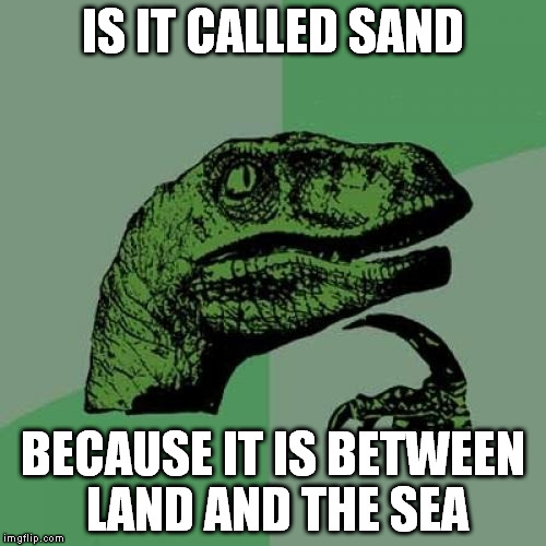 Philosoraptor | IS IT CALLED SAND; BECAUSE IT IS BETWEEN LAND AND THE SEA | image tagged in memes,philosoraptor | made w/ Imgflip meme maker