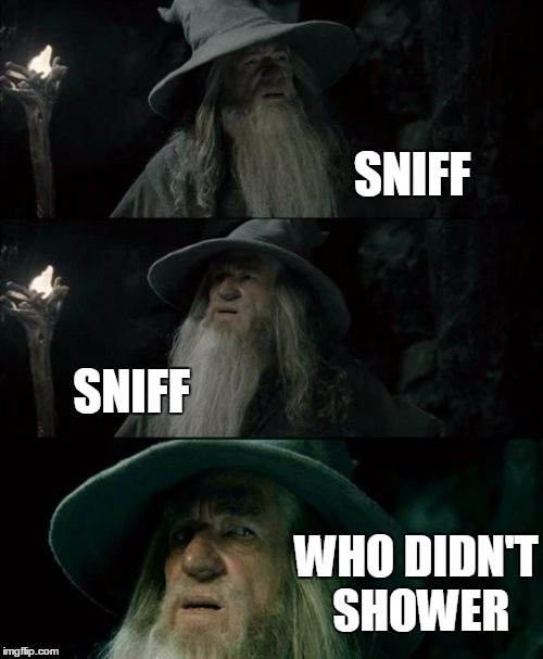 Confused Gandalf Meme | SNIFF; SNIFF; WHO DIDN'T SHOWER | image tagged in memes,confused gandalf | made w/ Imgflip meme maker