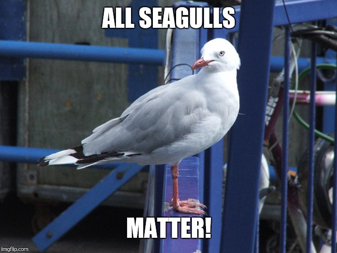 ALL SEAGULLS MATTER! | made w/ Imgflip meme maker