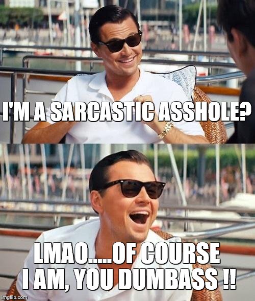 Leonardo Dicaprio Wolf Of Wall Street | I'M A SARCASTIC ASSHOLE? LMAO.....OF COURSE I AM, YOU DUMBASS !! | image tagged in memes,leonardo dicaprio wolf of wall street | made w/ Imgflip meme maker