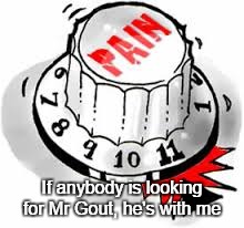 My recent silence speaks volumes | If anybody is looking for Mr Gout, he's with me | image tagged in excruciating | made w/ Imgflip meme maker