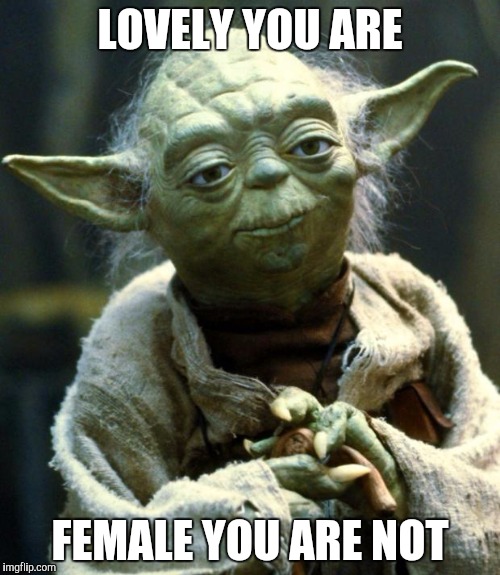 Star Wars Yoda Meme | LOVELY YOU ARE FEMALE YOU ARE NOT | image tagged in memes,star wars yoda | made w/ Imgflip meme maker