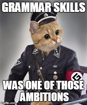 GRAMMAR SKILLS WAS ONE OF THOSE AMBITIONS | made w/ Imgflip meme maker