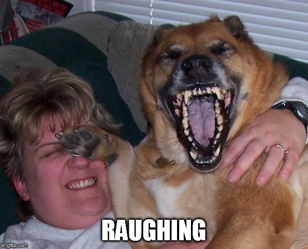 laughing dog | RAUGHING | image tagged in laughing dog | made w/ Imgflip meme maker