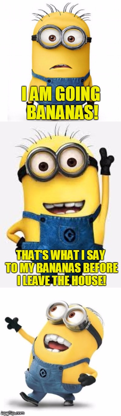 Bad Pun Minion | I AM GOING BANANAS! THAT'S WHAT I SAY TO MY BANANAS BEFORE I LEAVE THE HOUSE! | image tagged in bad pun minion,bad pun,memes,minion,funny,bananas | made w/ Imgflip meme maker
