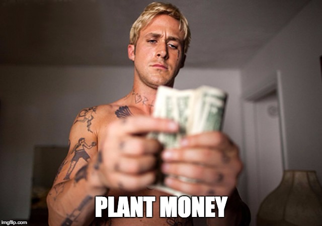 PLANT MONEY | image tagged in plant money | made w/ Imgflip meme maker