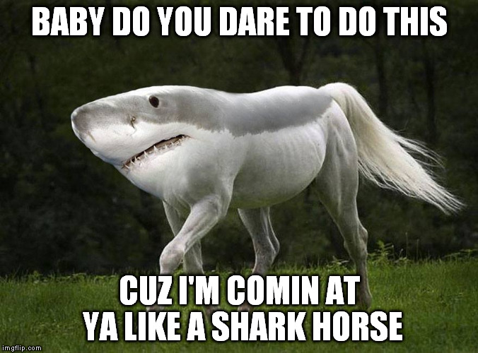 Shark Horse | BABY DO YOU DARE TO DO THIS; CUZ I'M COMIN AT YA LIKE A SHARK HORSE | image tagged in katy perry,shark,horse | made w/ Imgflip meme maker