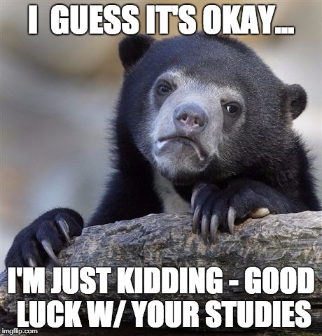 Confession Bear | I  GUESS IT'S OKAY... I'M JUST KIDDING - GOOD LUCK W/ YOUR STUDIES | image tagged in memes,confession bear | made w/ Imgflip meme maker