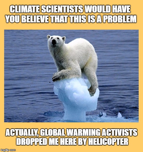 Polar Problem | CLIMATE SCIENTISTS WOULD HAVE YOU BELIEVE THAT THIS IS A PROBLEM; ACTUALLY, GLOBAL WARMING ACTIVISTS DROPPED ME HERE BY HELICOPTER | image tagged in global warming,arctic ice,polar bears,ice caps,stranted | made w/ Imgflip meme maker