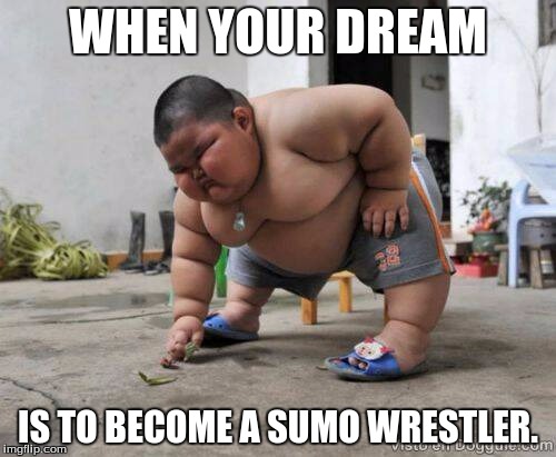 C:\Users\ItWeb\Pictures\memes\picdump73-16.jpg | WHEN YOUR DREAM; IS TO BECOME A SUMO WRESTLER. | image tagged in cusersitwebpicturesmemespicdump73-16jpg | made w/ Imgflip meme maker