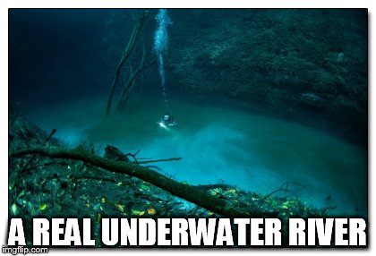 A REAL UNDERWATER RIVER | image tagged in underwater river | made w/ Imgflip meme maker