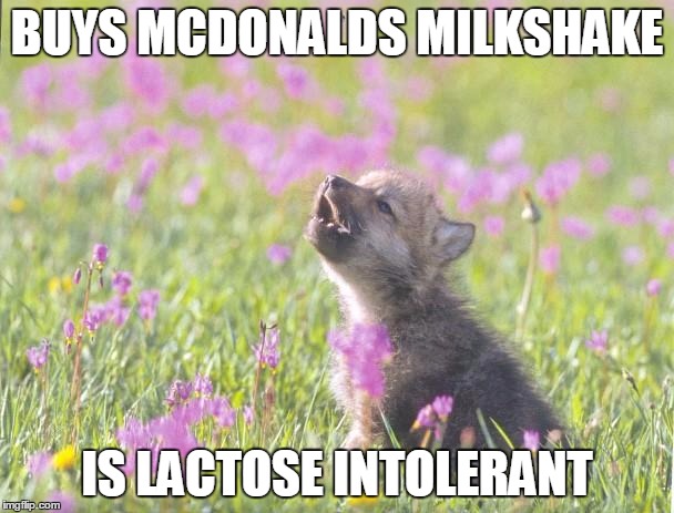 Baby Insanity Wolf | BUYS MCDONALDS MILKSHAKE; IS LACTOSE INTOLERANT | image tagged in memes,baby insanity wolf | made w/ Imgflip meme maker