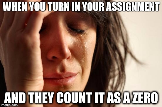 First World Problems Meme | WHEN YOU TURN IN YOUR ASSIGNMENT; AND THEY COUNT IT AS A ZERO | image tagged in memes,first world problems | made w/ Imgflip meme maker