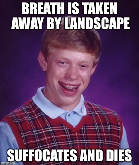 Bad Luck Brian Meme | BREATH IS TAKEN AWAY BY LANDSCAPE; SUFFOCATES AND DIES | image tagged in memes,bad luck brian | made w/ Imgflip meme maker