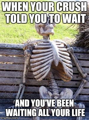 Waiting Skeleton | WHEN YOUR CRUSH TOLD YOU TO WAIT; AND YOU'VE BEEN WAITING ALL YOUR LIFE | image tagged in memes,waiting skeleton | made w/ Imgflip meme maker