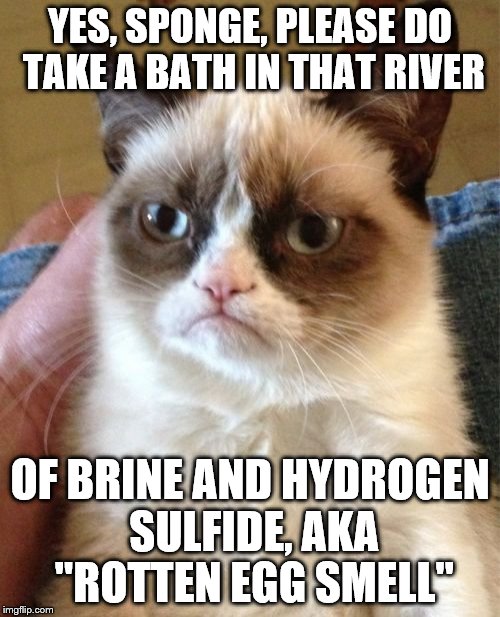 Grumpy Cat Meme | YES, SPONGE, PLEASE DO TAKE A BATH IN THAT RIVER OF BRINE AND HYDROGEN SULFIDE, AKA "ROTTEN EGG SMELL" | image tagged in memes,grumpy cat | made w/ Imgflip meme maker