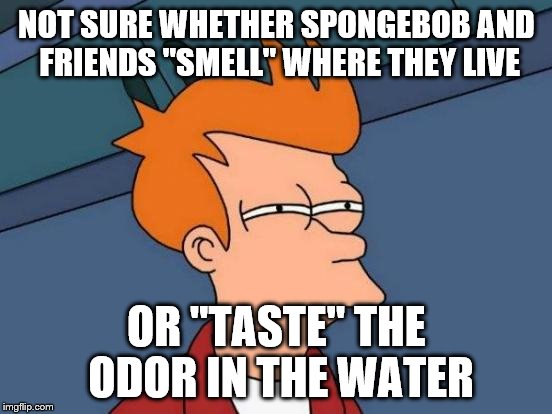 Futurama Fry Meme | NOT SURE WHETHER SPONGEBOB AND FRIENDS "SMELL" WHERE THEY LIVE OR "TASTE" THE ODOR IN THE WATER | image tagged in memes,futurama fry | made w/ Imgflip meme maker