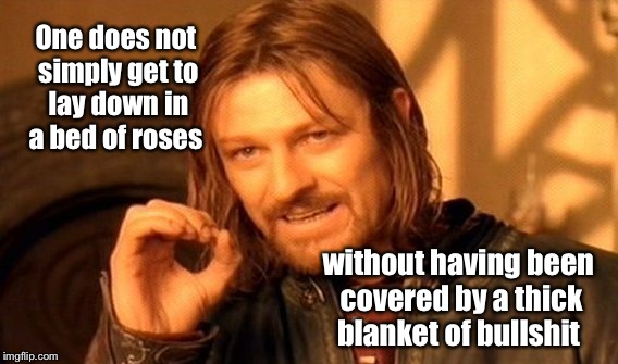 That's life  |  One does not simply get to lay down in a bed of roses; without having been covered by a thick blanket of bullshit | image tagged in memes,one does not simply,featured,latest,meme maker | made w/ Imgflip meme maker