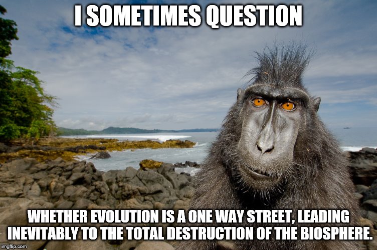sometimes I don't | I SOMETIMES QUESTION; WHETHER EVOLUTION IS A ONE WAY STREET, LEADING INEVITABLY TO THE TOTAL DESTRUCTION OF THE BIOSPHERE. | image tagged in philosopher,evolution | made w/ Imgflip meme maker