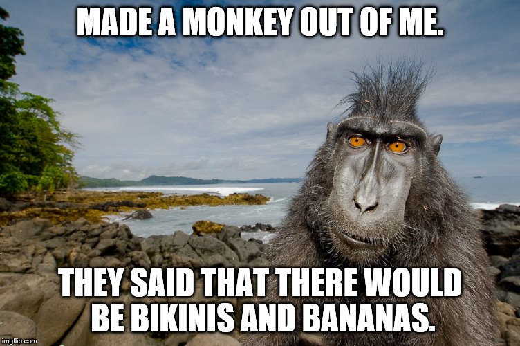 BAD VACATION | MADE A MONKEY OUT OF ME. THEY SAID THAT THERE WOULD BE BIKINIS AND BANANAS. | image tagged in funny | made w/ Imgflip meme maker