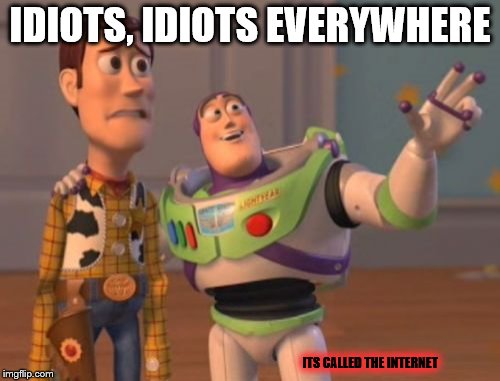 X, X Everywhere | IDIOTS, IDIOTS EVERYWHERE; ITS CALLED THE INTERNET | image tagged in memes,x x everywhere | made w/ Imgflip meme maker
