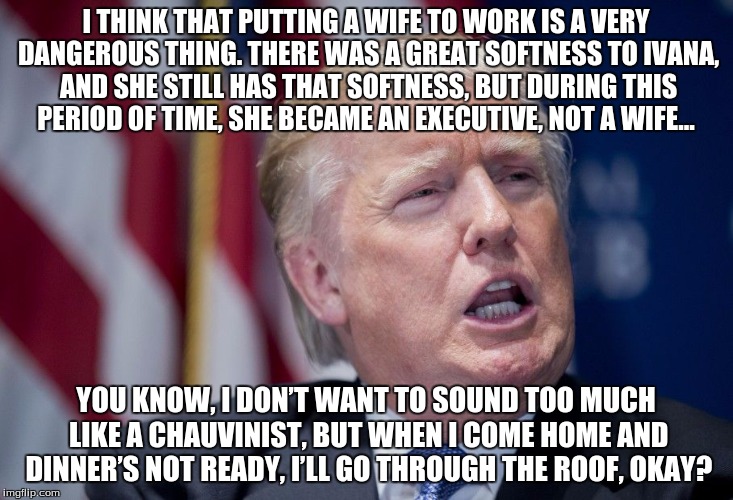 Donald Trump Derp | I THINK THAT PUTTING A WIFE TO WORK IS A VERY DANGEROUS THING. THERE WAS A GREAT SOFTNESS TO IVANA, AND SHE STILL HAS THAT SOFTNESS, BUT DURING THIS PERIOD OF TIME, SHE BECAME AN EXECUTIVE, NOT A WIFE... YOU KNOW, I DON’T WANT TO SOUND TOO MUCH LIKE A CHAUVINIST, BUT WHEN I COME HOME AND DINNER’S NOT READY, I’LL GO THROUGH THE ROOF, OKAY? | image tagged in donald trump derp | made w/ Imgflip meme maker