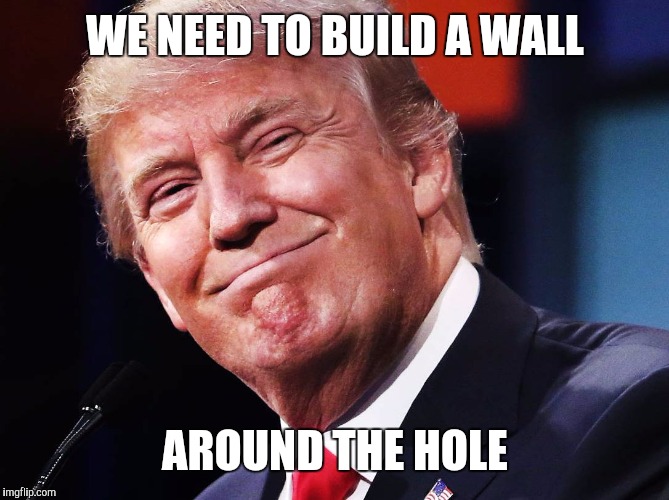 Trump approves | WE NEED TO BUILD A WALL AROUND THE HOLE | image tagged in trump approves | made w/ Imgflip meme maker