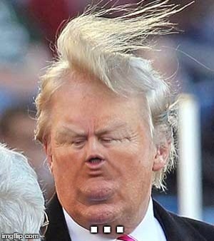 SHRUNK Trump | . . . | image tagged in shrunk trump | made w/ Imgflip meme maker