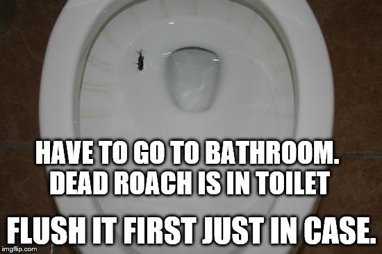 HAVE TO GO TO BATHROOM. DEAD ROACH IS IN TOILET; FLUSH IT FIRST JUST IN CASE. | image tagged in roach in toilet | made w/ Imgflip meme maker